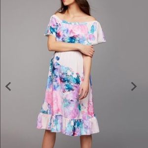 Pea In the Pod Maternity Dress